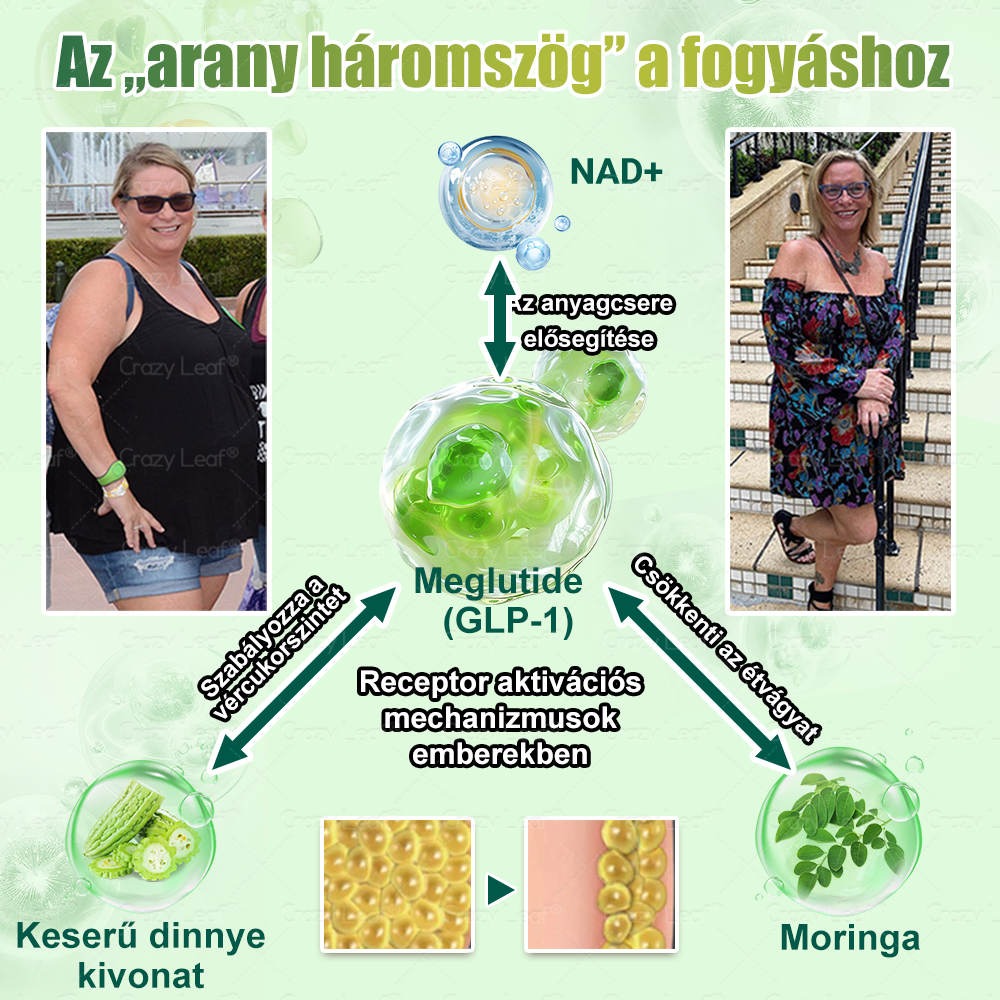 Mayo Klinika által ajánlott | Hivatalos Márkabolt | CrazyLeaf® Meglutide GLP-1 Aktiváló Oralis Oldat – Tartalmaz moringát, NAD+-t és yerba matét, természetes támogatás fogyáshoz, öregedésgátláshoz és cukoranyagcseréhez